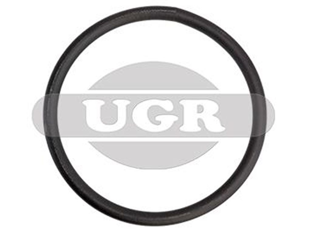 Kroužek těsnící filtru vzduchu 190x12,5 MAN TGS/TGX