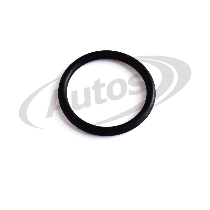 Těsnění gumové 23,4x2,6 výpustného šroubu vany IVECO