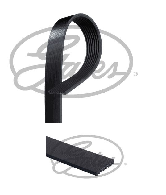 Řemen drážkový 8PK2550HD IVECO, MERCEDES Actros MP4, Atego 1/2, Axor 2, Econic, Zetros