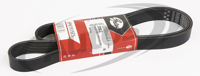 Řemen drážkový alternátoru 8PK 1515ES  RVI Magnum DXi13 od 05.2006, MAN TGA