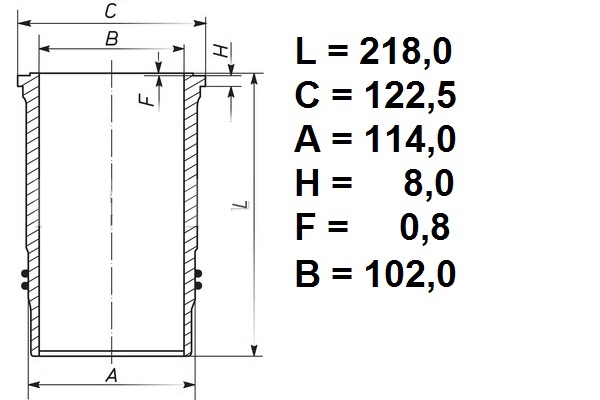 Vložka válce 102mm RVI Premium Midr 06.02.26D/W/Y41,Midr04.02.26A4/B4,Midlum 135/G230TI