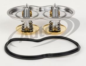 Termostat 89°C - 96°C dvojitý SCANIA R E6