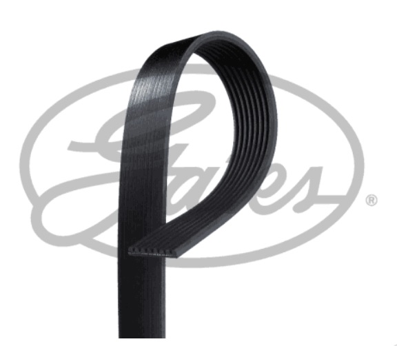 Řemen drážkový 8PK1894HD DAF LF45,LF55,CF65 od 01.2006, SCANIA