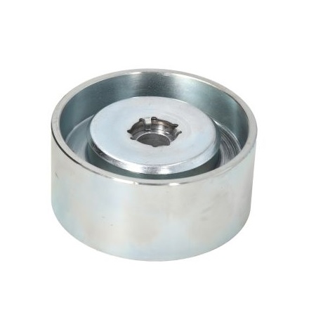 Kladka napínače řemene 74x12x34 MAN TGA,TGL,TGM,TGS,TGX D0834/D0836, NEOPLAN