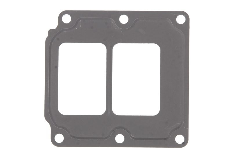 Těsnění ventilu EGR MAN TGX, TGS, NEOPLAN Centroliner D2066LOH01-D2676LF56