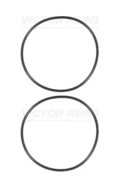 Kroužek těsnící vložky válců - sada MAN TGA D2066, TGX D2676, ERF ECT od 04.2002