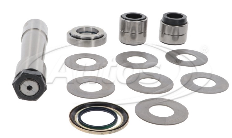 Sada opravárenská svislého čepu 50x225mm DAF CF od 2013, XF od 2012 Euro 6