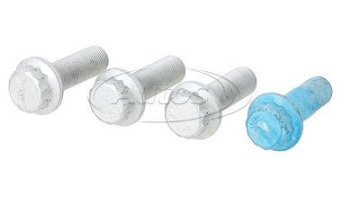 Šroub brzdového třmenu M18x1,5x55 - sada SAF B/Basic/S/SKRS/Z