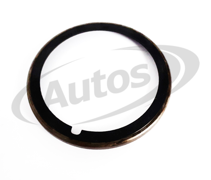 Kroužek těsnící hřídele převodovky 77x95,3x6 DAF CF75, CF85, XF95 RVI Magnum DXI 