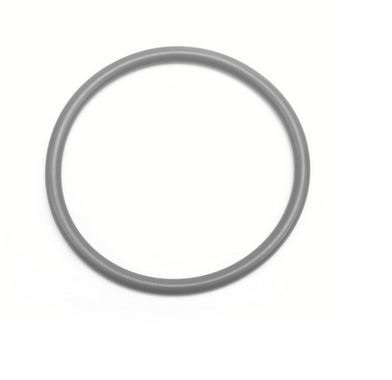 Kroužek těsnící převodovky "O" 79,2x5,7 SCANIA P,G,R,T