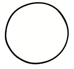 Kroužek "O" těsnící 134.5x3,15 kompresoru SCANIA Euro 6