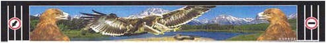 Zástěrka pryžová 2400x350 sdružená s obrázkem "orel"