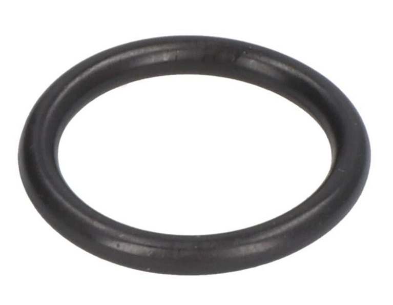 Kroužek těsnící EGR ventilu "O" 17,46x2,62mm IVECO, DAF 